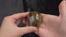 Load and play video in Gallery viewer, Tiger Iron Palm Stone, P60