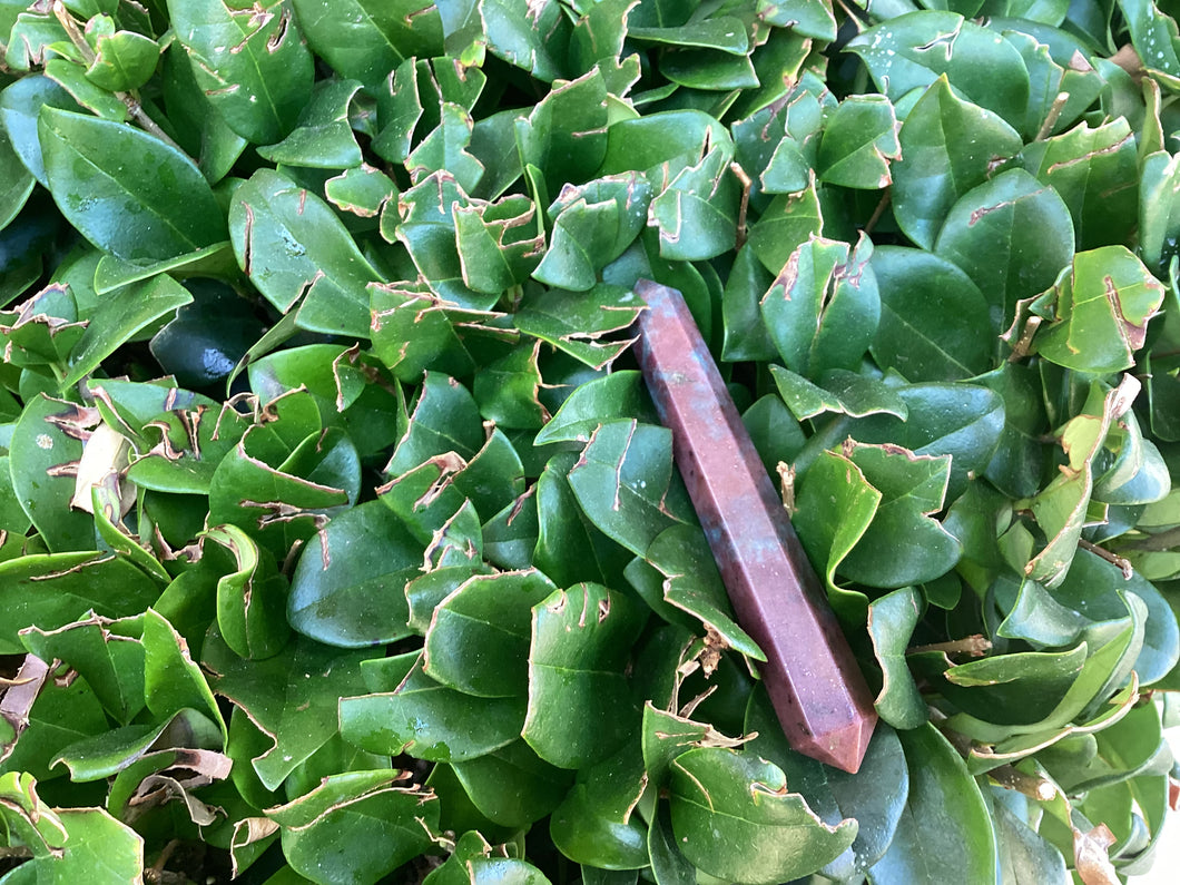 Ruby Kyanite point P3-43