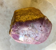 Load image into Gallery viewer, Natural Raw Corundum Pink Sapphire, P67

