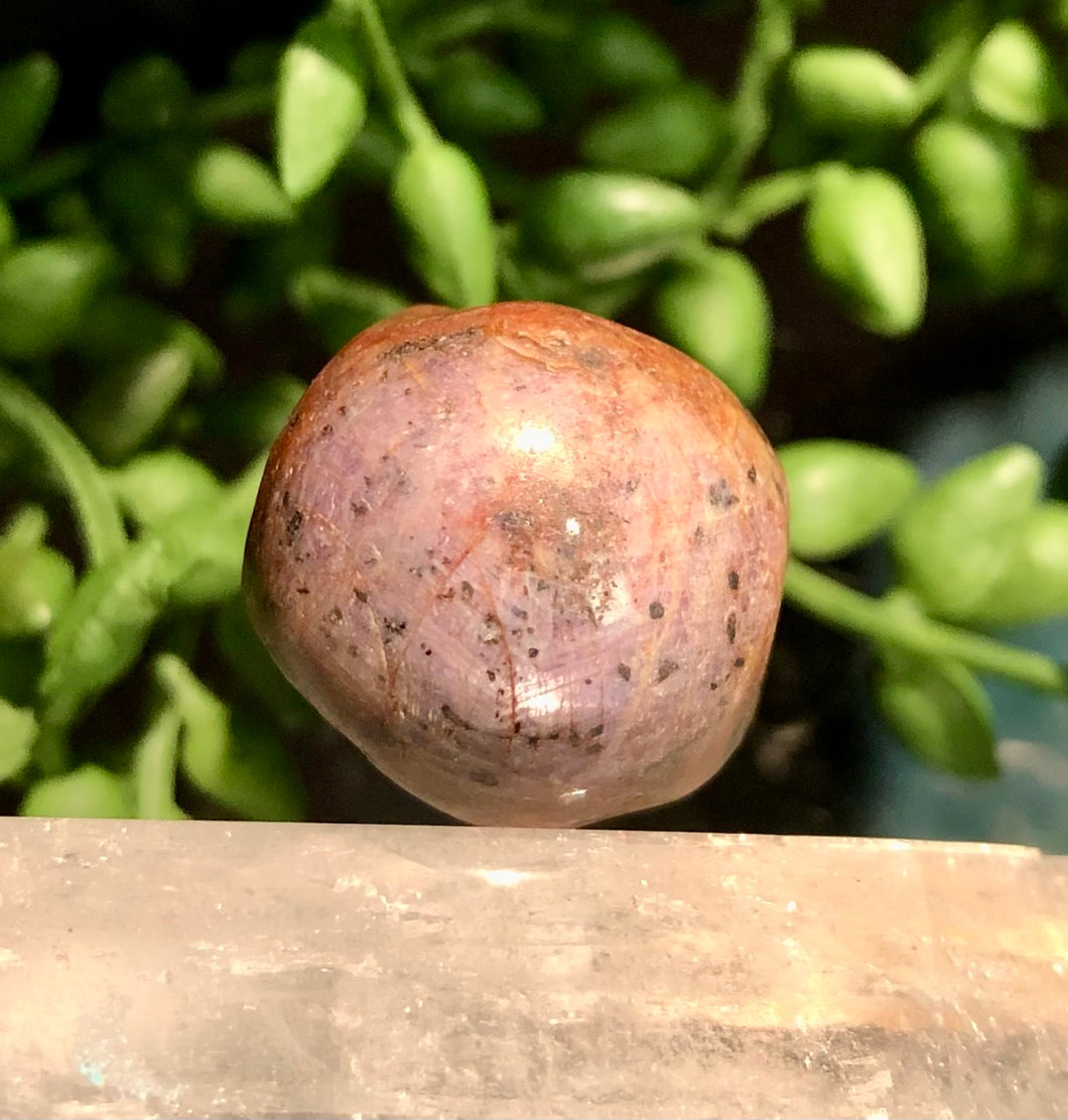 Natural Raw Corundum Sapphire, P41
