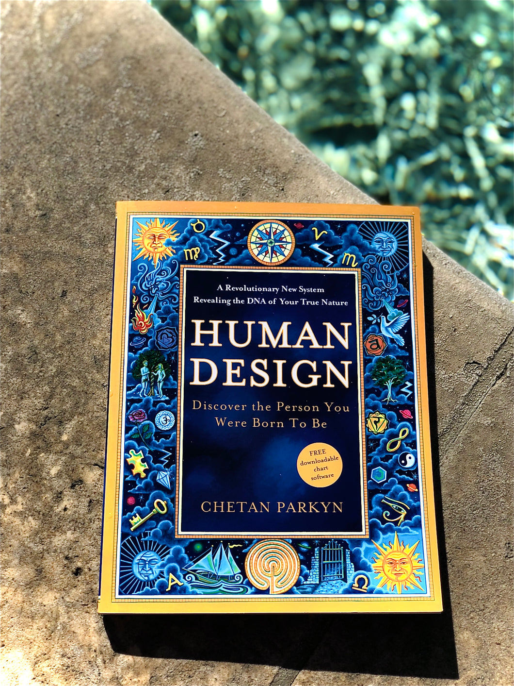 Human Design Book By Chetan Parkyn