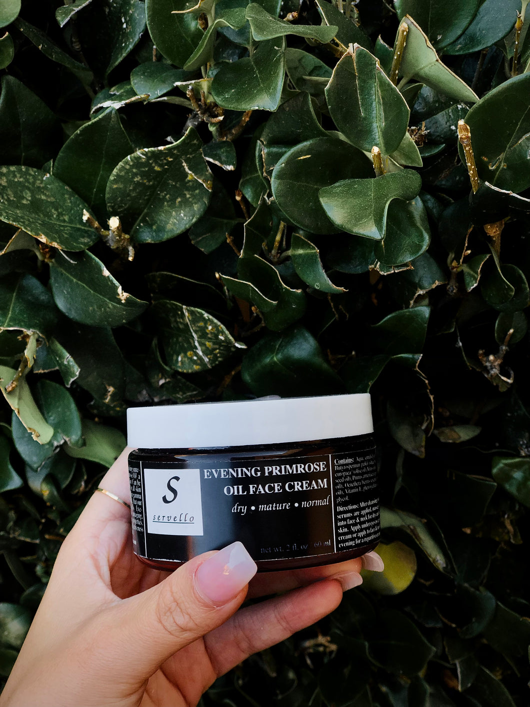 Evening Primrose Face Cream Large