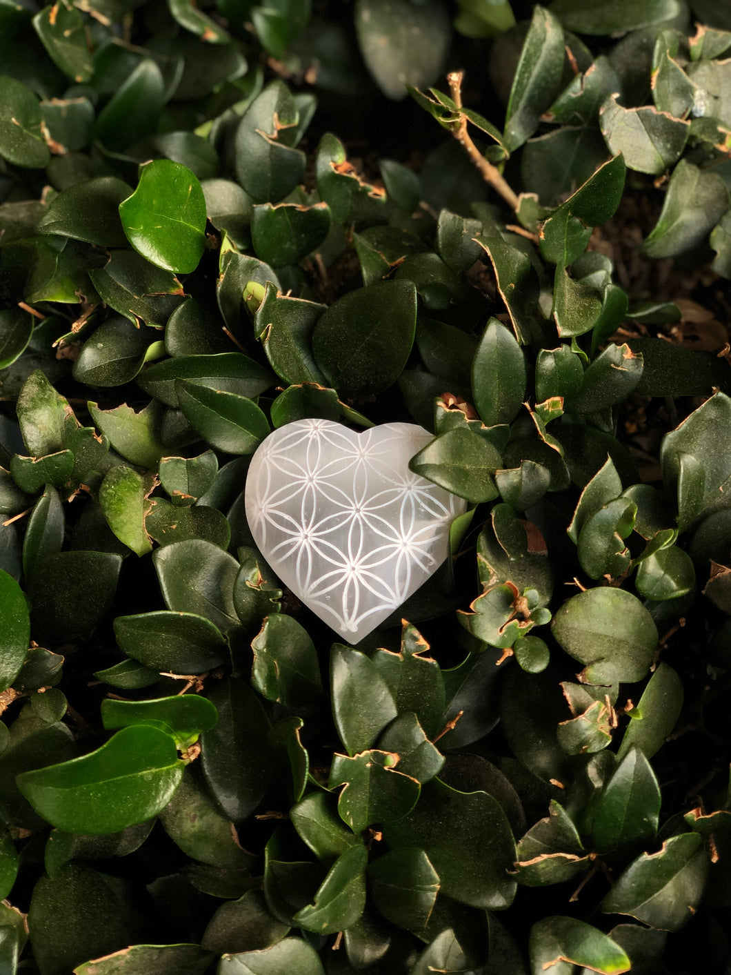 Selenite Flower Heart