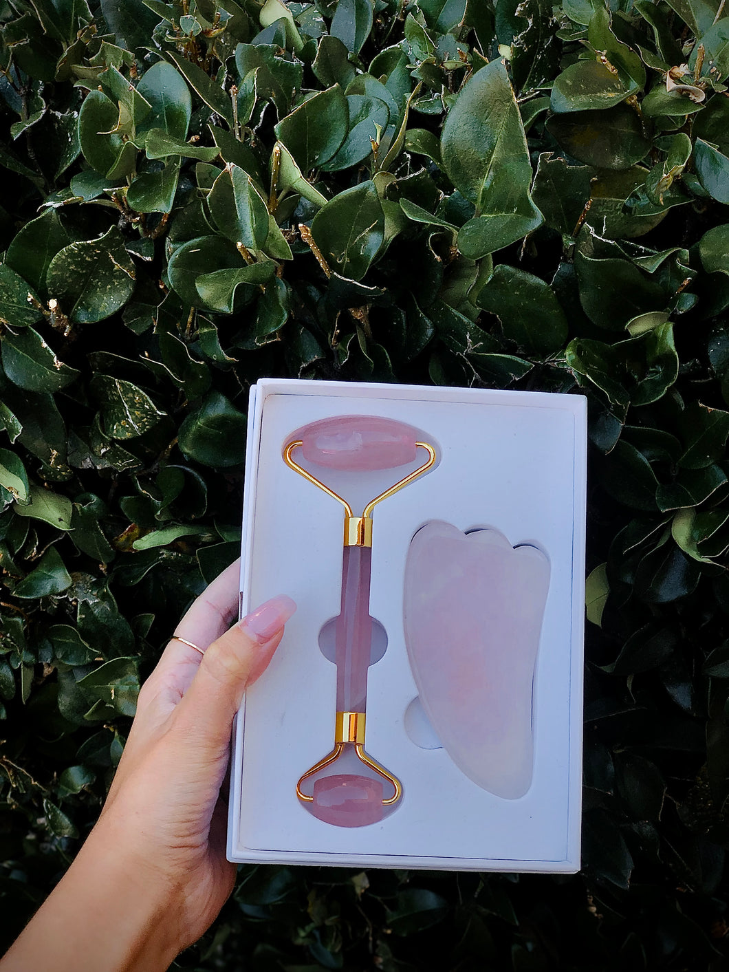 Rose Quartz Gua Sha and Roller Set