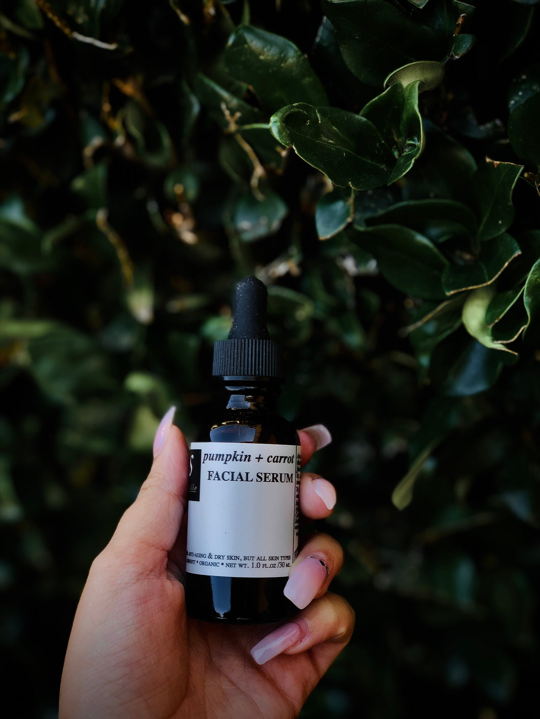 Pumpkin Carrot Seed Serum Servello