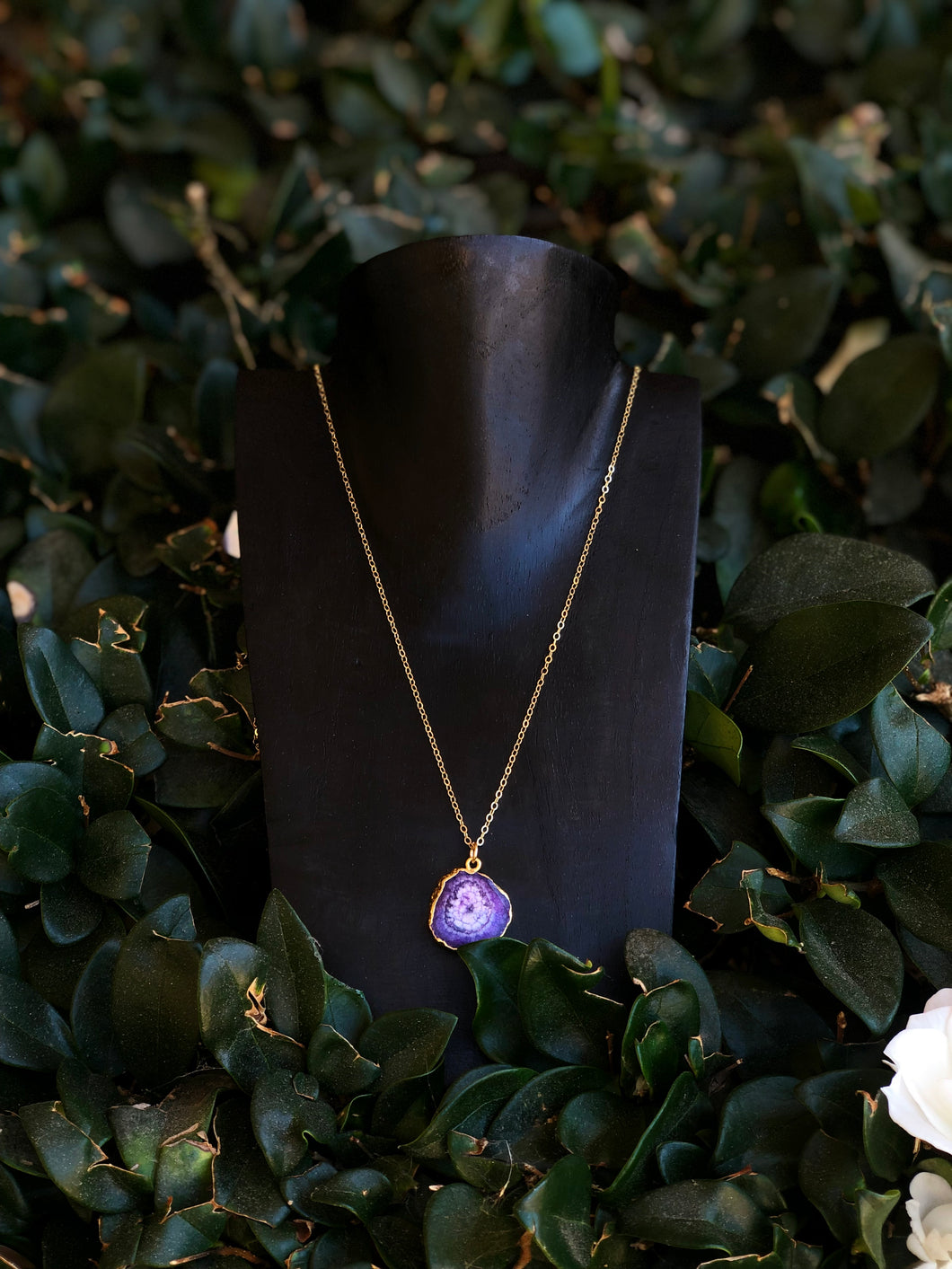 Purple Solar Quartz Necklace